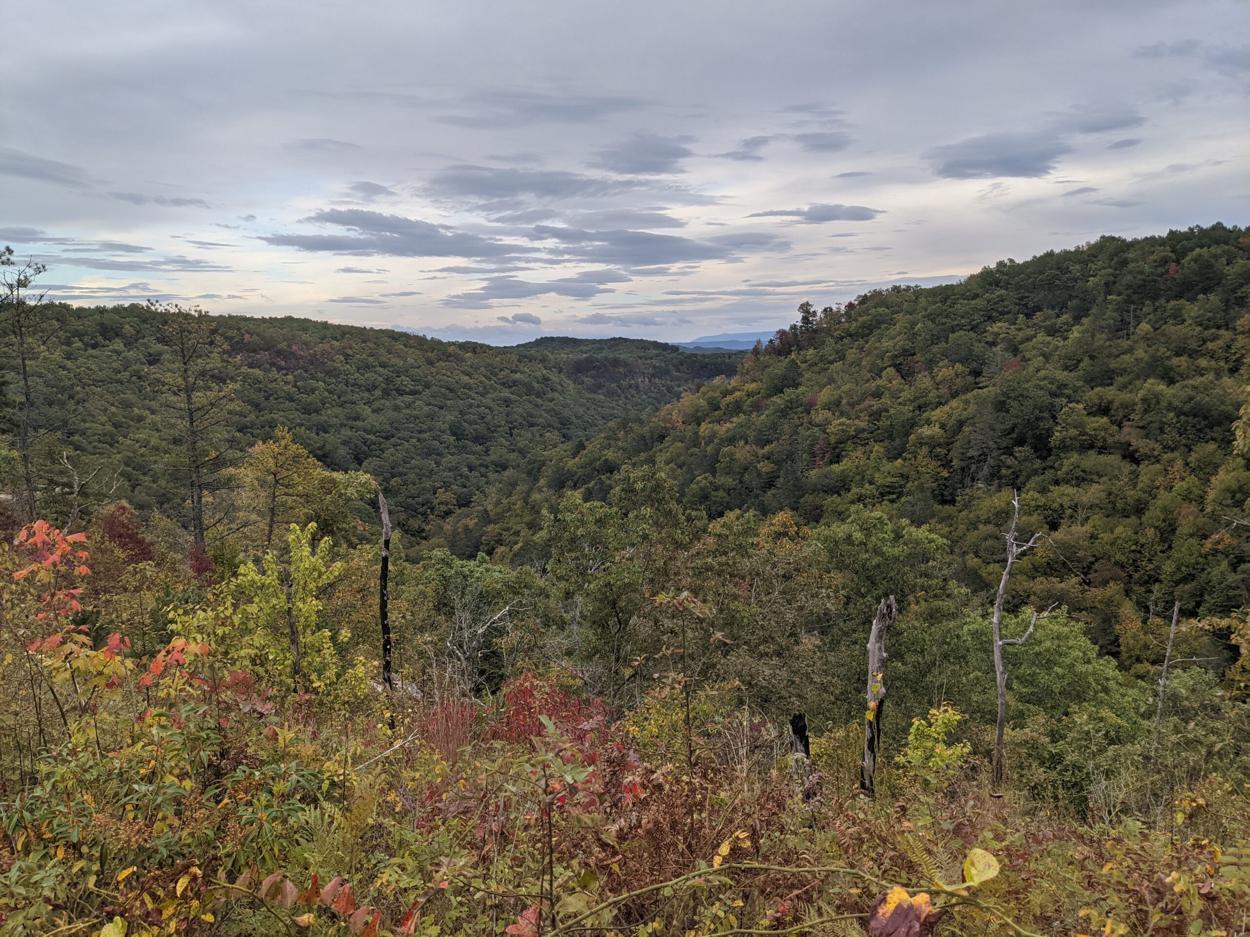 Our Expedition Plan - Forest Appalachia